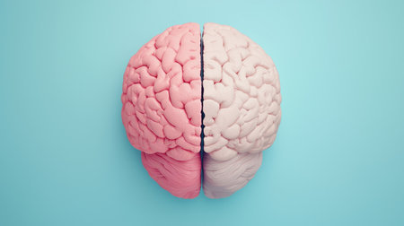 A stylized brain illustration split into pink and gray halves against a light blue background, symbolizing creativity and logic.の素材