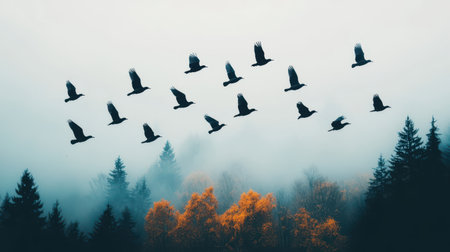 A serene scene of birds flying over a misty forest, with autumn colors peeking through the fog, creating a tranquil and picturesque atmosphere.の素材