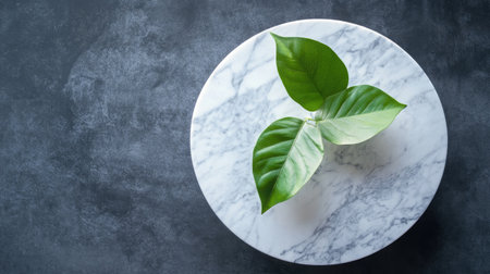 Fresh Green Leaves on Marble Surface Creating a Minimalist Style for Nature and Interior Design Conceptsの素材