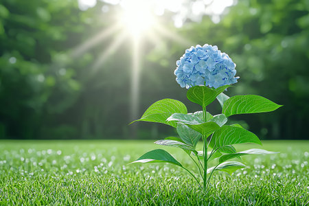 A blooming blue flower shines in sunlight against a blurred green background.の素材