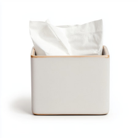 Minimalist Tissue Box with White Napkin in Clean and Simple Design for Modern Home or Office Decor and Functional Use for Everyday Needsの素材
