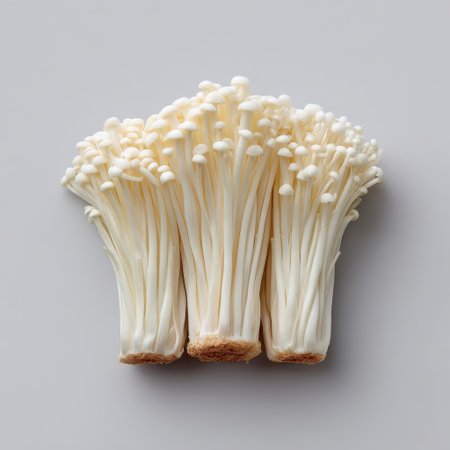 Fresh Enoki Mushrooms Group Isolated on Gray Background for Culinary and Food Art Applications, Perfect for Healthy Cooking and Recipe Ideasの素材