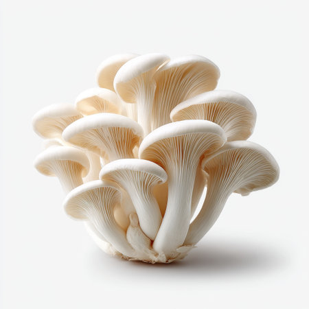 Fresh and Delicious White Mushrooms Cluster on Light Background Ideal for Culinary, Organic, and Healthy Lifestyle Themes in Stock Photographyの素材
