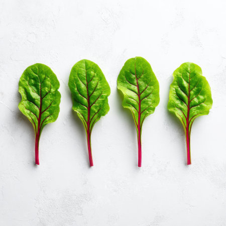 Fresh and Vibrant Swiss Chard Leaves Arranged on a Light Background for Healthy Cooking and Nutritional Inspirationの素材