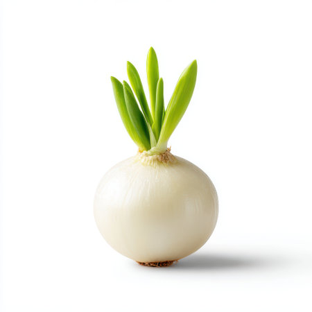 Fresh White Onion with Green Sprouts Isolated on White Background Perfect for Cooking, Culinary Arts, Food Preparation, and Market Displayの素材