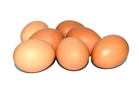 egg