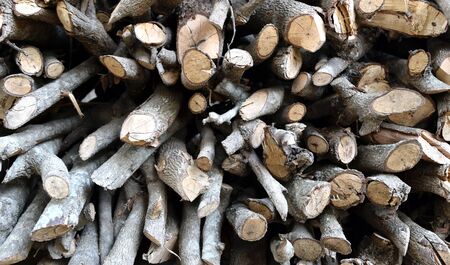 Small pyre sort are the cross sectionの写真素材