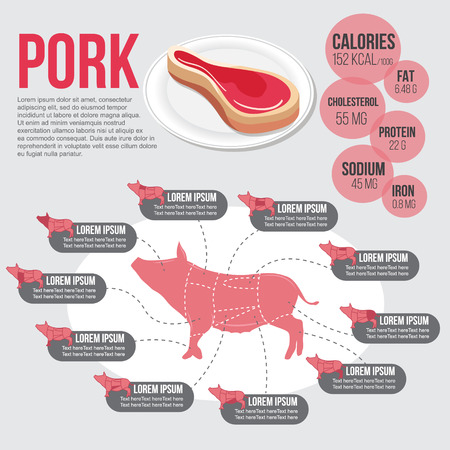 infographic for Parts of the body pig and nutrition porkのイラスト素材