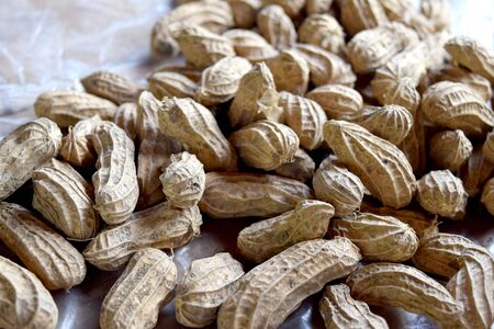 Close up groundnut or monkey nut or peanut