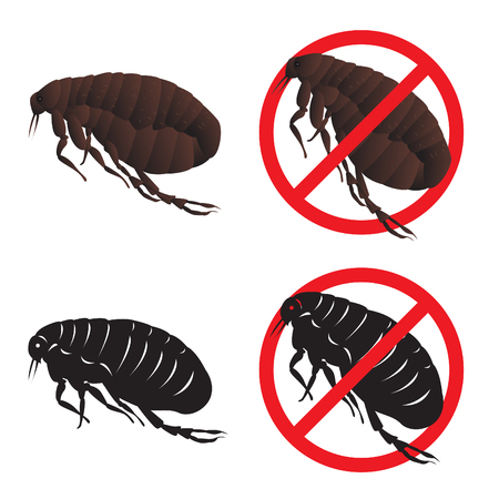 Cootie and Stop cootie sign symbols vector designのイラスト素材