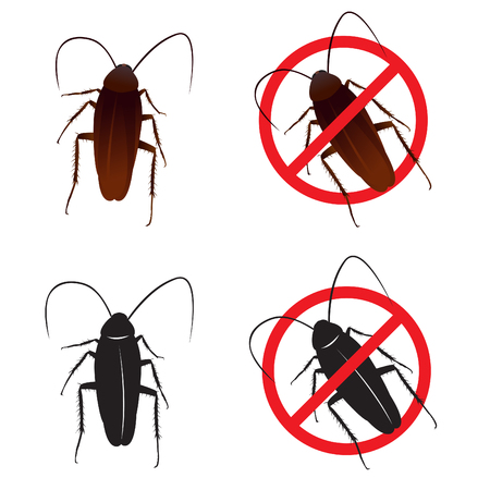 Cockroaches and Stop cockroach sign symbols vector designのイラスト素材