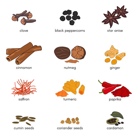 12 spice scomp illusion vector set designのイラスト素材