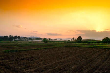 View agriculture field farms in evening timeの写真素材