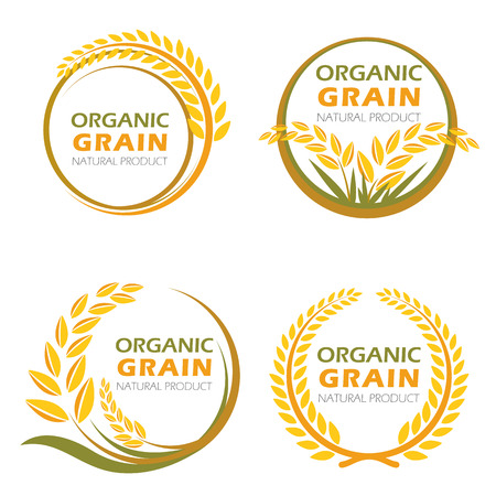 Circle paddy rice organic grain products and healthy food vector set designのイラスト素材