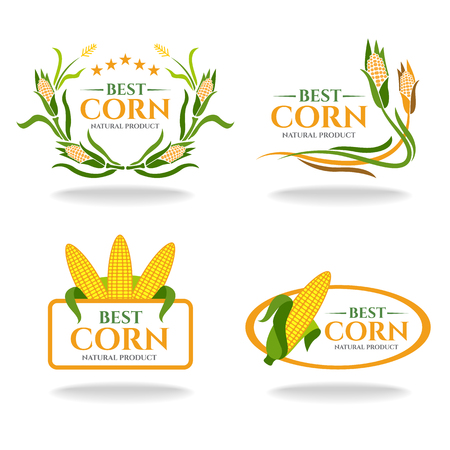 Yellow green Corn best and natural products banner sign vector designのイラスト素材