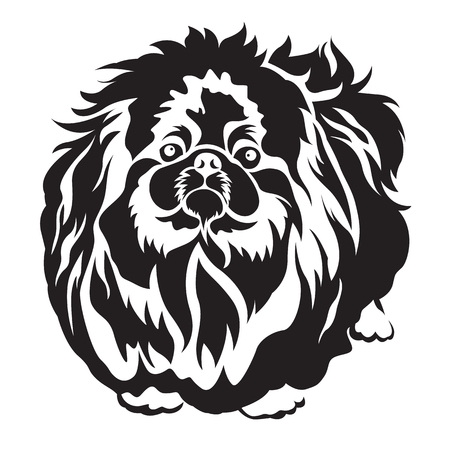 pedigreed dog pekingese breed for tattoo and screen vector designのイラスト素材