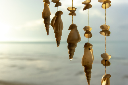 Seashells hanging on strings for decorationの写真素材