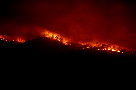Wildfire disaster - fire burning mountain in night timeの写真素材