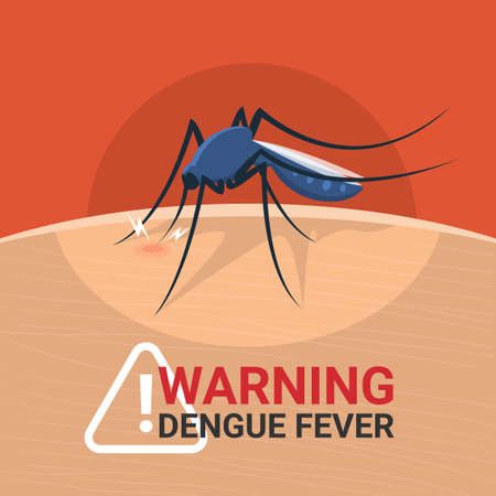 Warning dengue fever banner with closeup mosquitos Drinking blood on skin human vector designのイラスト素材