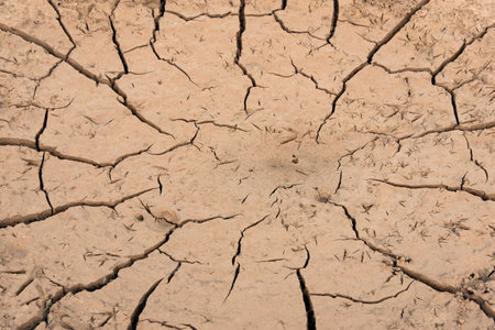 Texture circle around cracked with dry the surface of the earthの写真素材