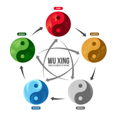 WU XING China is Five Elements Philosophy with fire earth metal water and wood in circle yinyang symbol sign vector designのイラスト素材
