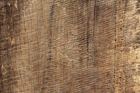 Wood Backgroundの写真素材