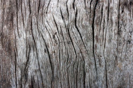 wood texture  Abstract backgroundの写真素材