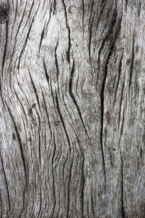 wood texture  Abstract backgroundの写真素材