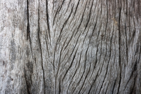 wood texture  Abstract backgroundの写真素材
