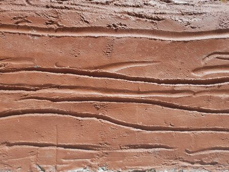 brown texture tree skin like on the painted cement wall