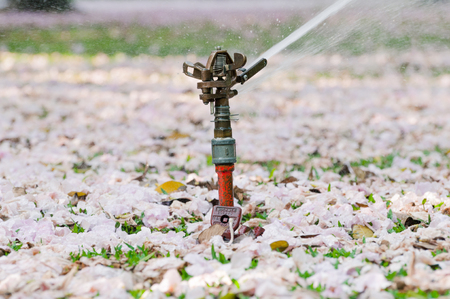 automatic sprinkler water system for irrigation, garden or Garden lawn sprinkler in action for pink blossom flower spring on the ground and green grass garden working early in the morning and evening.の写真素材