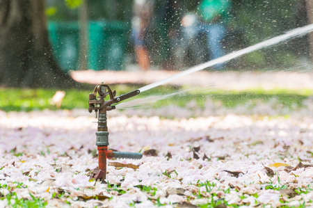 automatic sprinkler water system for irrigation, garden or Garden lawn sprinkler in action for pink blossom flower spring on the ground and green grass garden working early in the morning and evening.の写真素材
