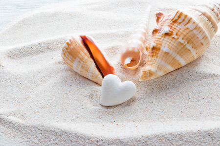 Heart-shaped coral stone and tropical shellの写真素材