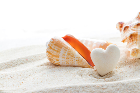 Heart-shaped coral stone and tropical shellの写真素材