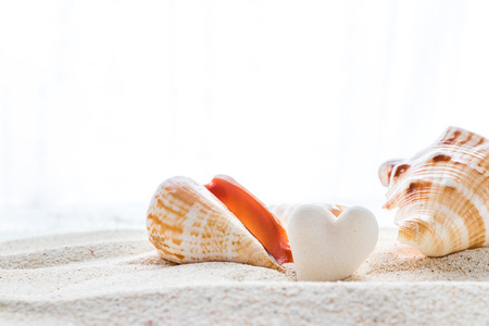 Heart-shaped coral stone and tropical shellの写真素材