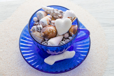 Teacup packed with tropical memoriesの写真素材