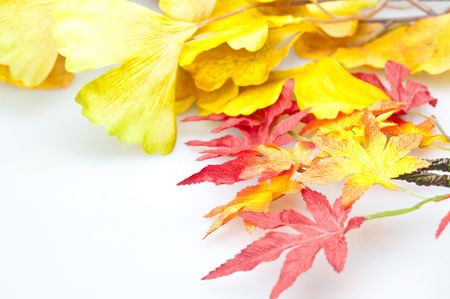 autumnの写真素材