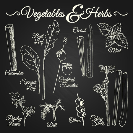Vegetables and herbs drawings set for different usageのイラスト素材