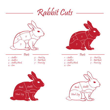 RABBIT meat cuts diagram - red on whiteboardのイラスト素材