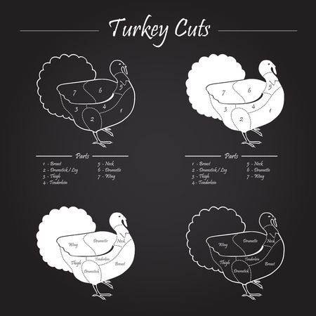 TURKEY MALE CUTS SCHEME - blackboard のイラスト素材