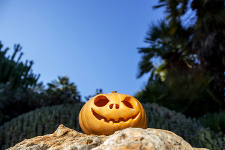 Halloween scary pumpkin jack-o-lantern with a smile on a rock from bottom perspective for poster horizontalの写真素材