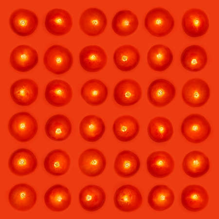 Red background of tomato in rows