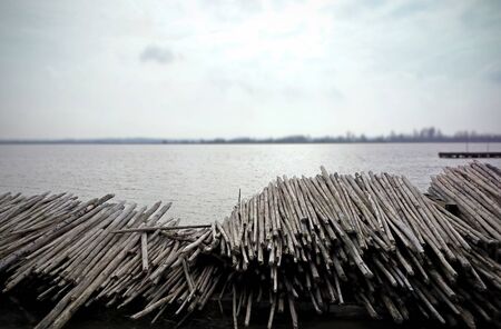 Piles of wood on the shore of lake landscape cold dark coloursの写真素材