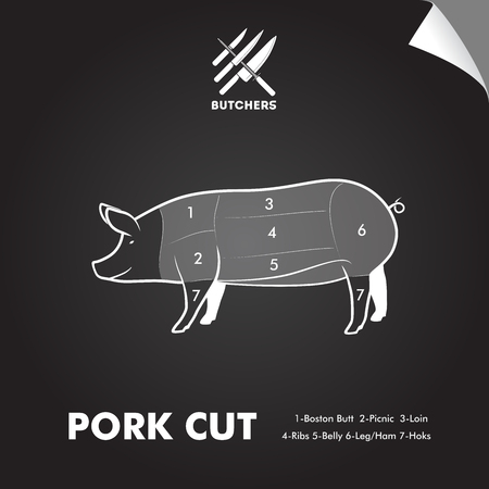 Simply pork meat cutting diagram on blackboard sheet. Butchers sign.のイラスト素材