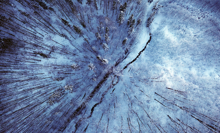 Winter mountain road.の写真素材