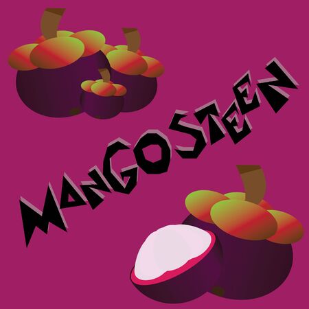 Mangosteen Wallpaperのイラスト素材