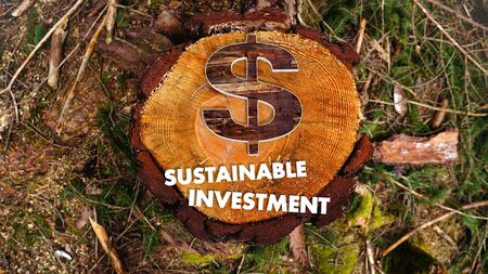 concept image for sustainable investment in United States Dollar market with the symbol United States Dollar situated on an ecological woodの写真素材