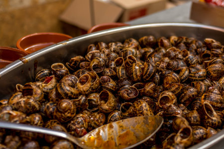Snails cooked in tomato sauce, traditional and very popular spanish dish, it is served everywhere in the country, restaurants, taverns, cafeterias. To eat them you just need a toothpick and good appetiteの写真素材