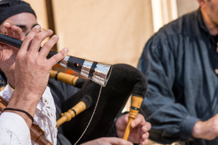 Local and regional music bands are very frequent in Spain where each region has its own musical...