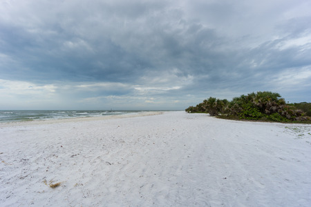 USA, Florida, Thunderstorm coming over honeymoon island white sand beach with green plantsの写真素材
